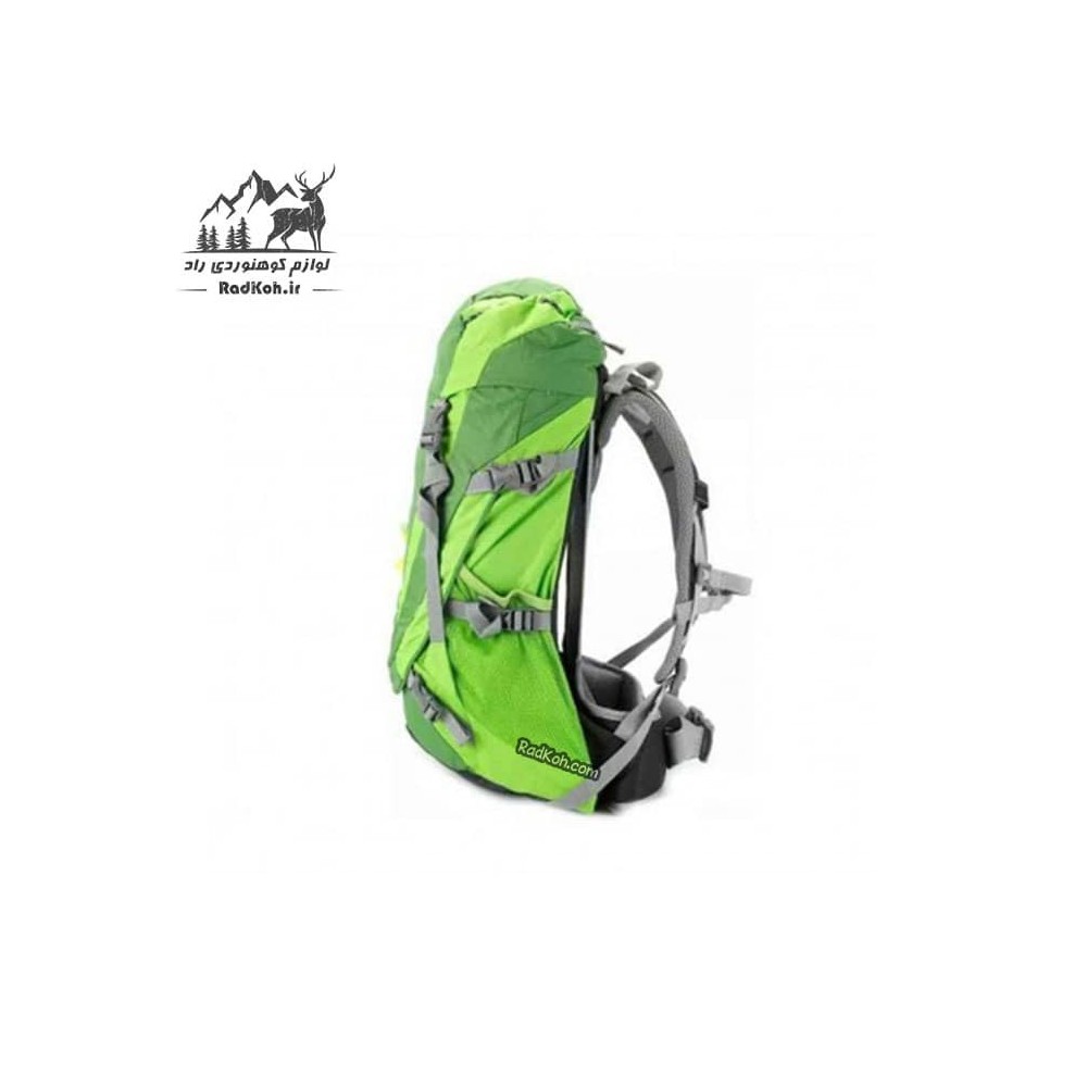 کوله پشتی مسافرتی دیوتر مدل futura pro 36L رنگ سبز روشن