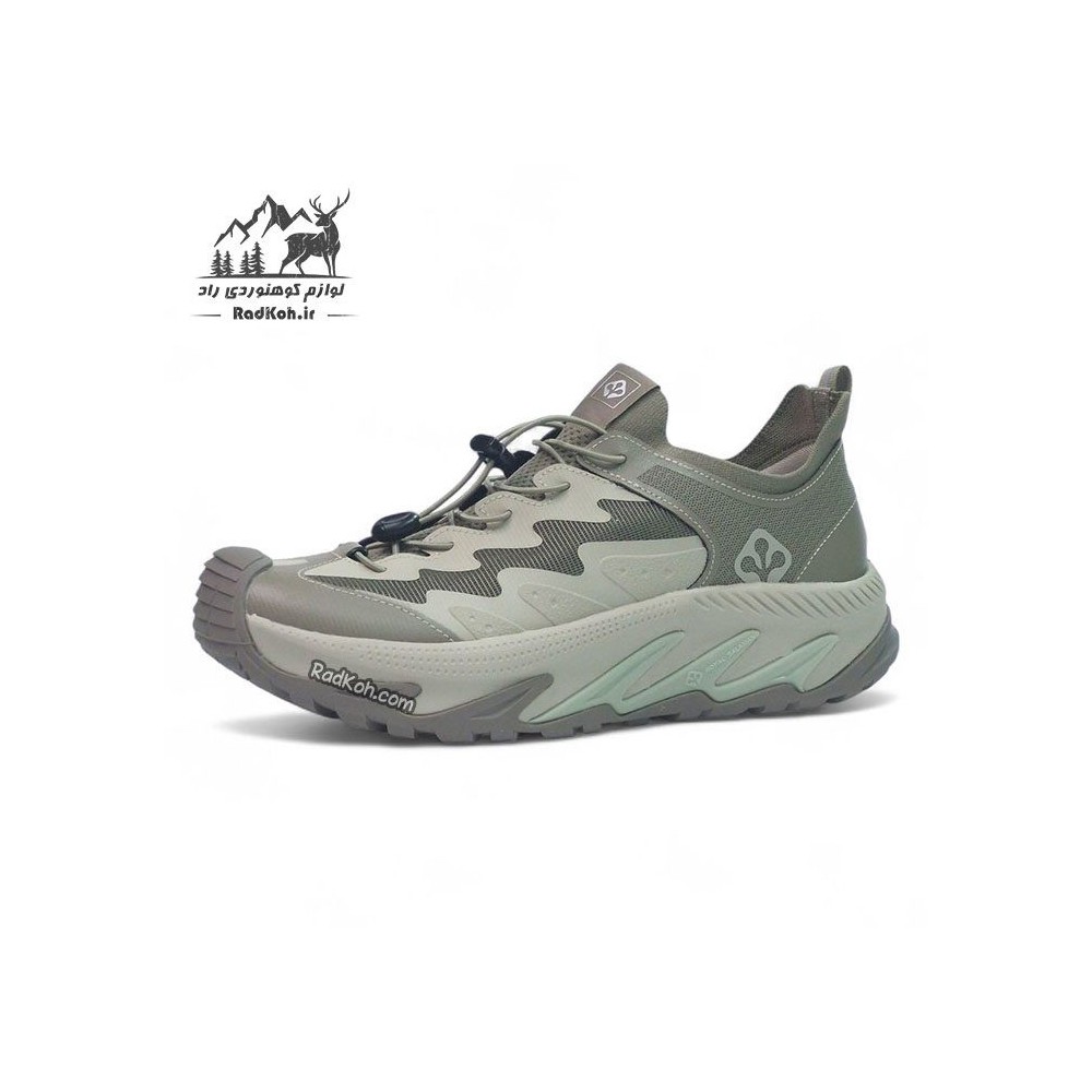 کفش طبیعت گردی مردانه مدل سالامان رویال کد SLM97106-M1 رنگ طوسی