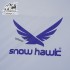 چادر دوپوش کوهنوردی 4 نفره SNOWHAWK مدل دیسکاوری رنگ سبز