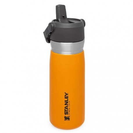 ماگ سفری استنلی مدل Flip Straw Water Bottle 0.65L رنگ نارنجی