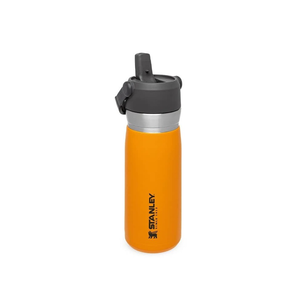 ماگ سفری استنلی مدل Flip Straw Water Bottle 0.65L رنگ نارنجی