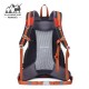 کوله پشتی راحتی 32 لیتری کاراکال مدل Caracal KA-9742 رنگ قرمز