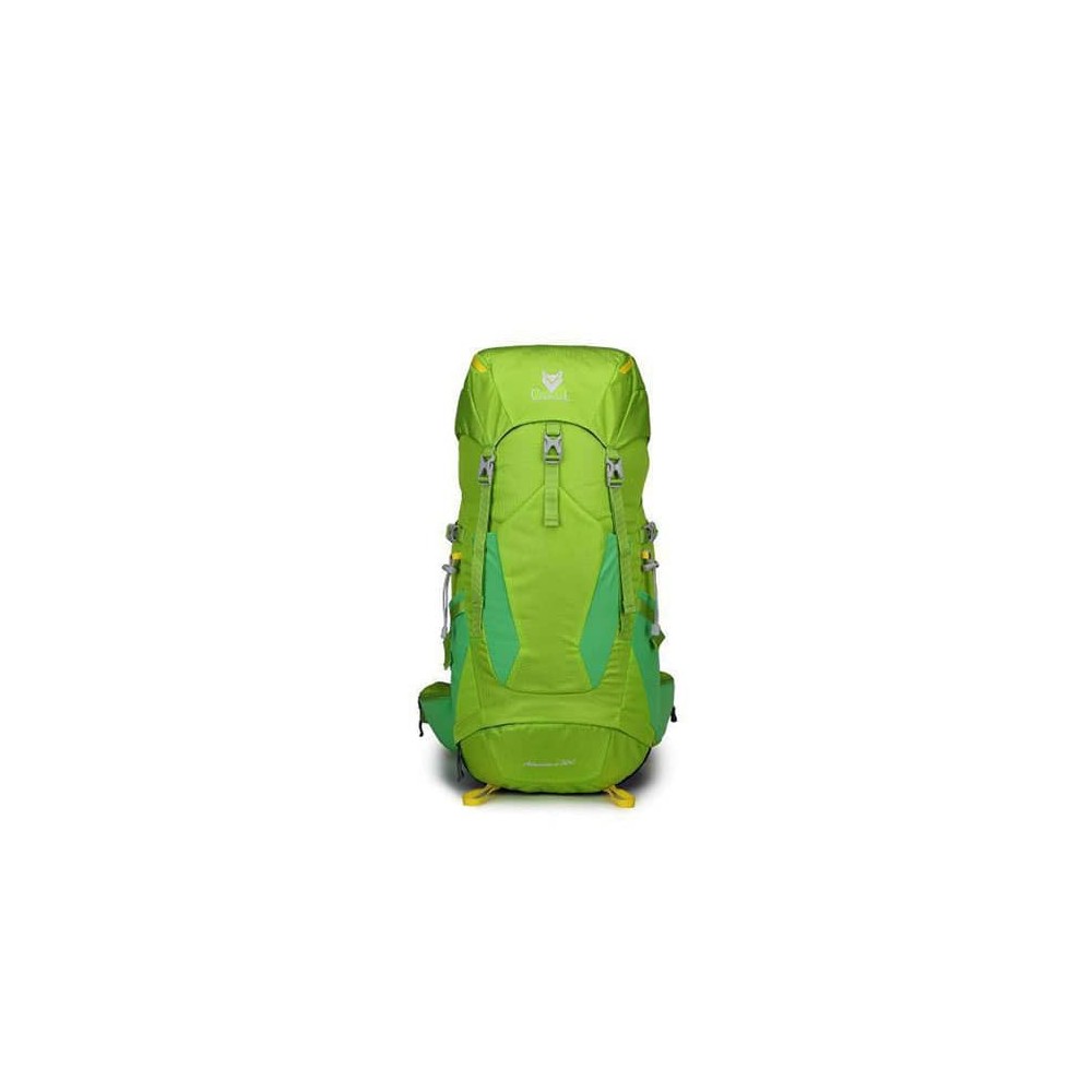 خرید کوله پشتی کوهنوردی 50 لیتری کاراکال مدل Adventure کد KA-8133 رنگ سبز روشن